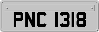 PNC1318