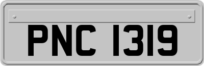 PNC1319