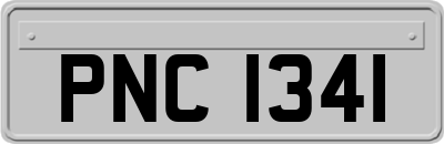 PNC1341