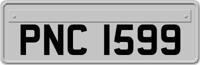 PNC1599