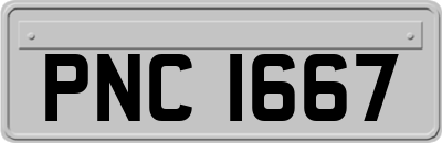 PNC1667