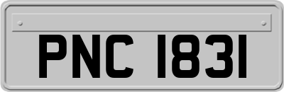 PNC1831