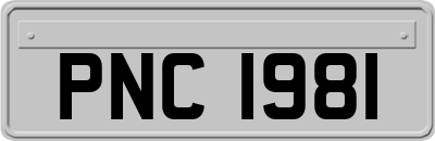 PNC1981