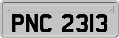 PNC2313
