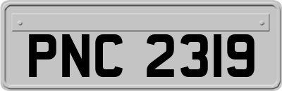 PNC2319