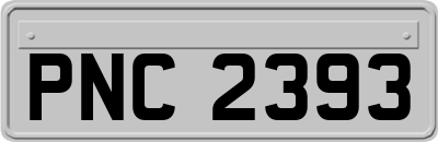 PNC2393