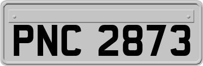 PNC2873