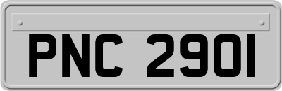PNC2901