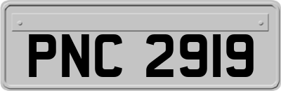 PNC2919