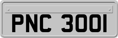 PNC3001