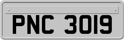 PNC3019