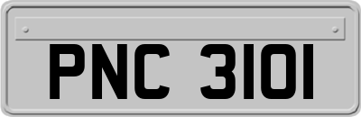 PNC3101