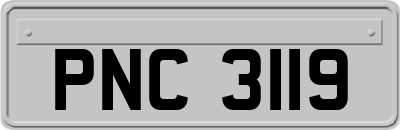 PNC3119
