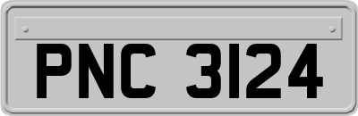 PNC3124
