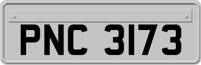 PNC3173