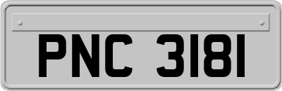 PNC3181