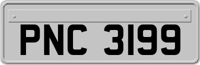 PNC3199