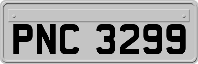 PNC3299