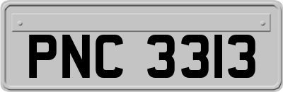 PNC3313