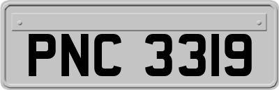 PNC3319