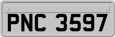 PNC3597