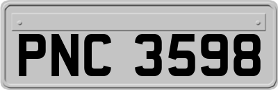 PNC3598