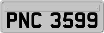 PNC3599