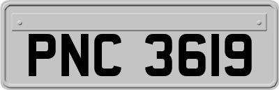 PNC3619