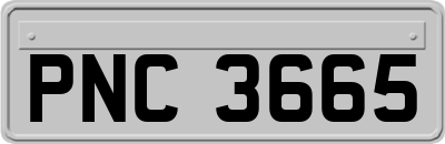 PNC3665