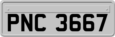 PNC3667