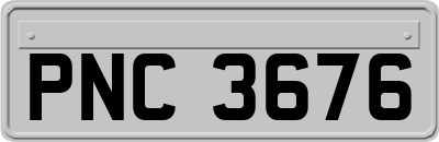 PNC3676