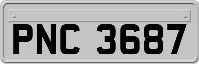 PNC3687