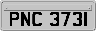 PNC3731