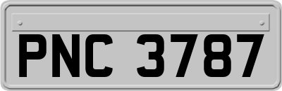 PNC3787