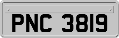 PNC3819