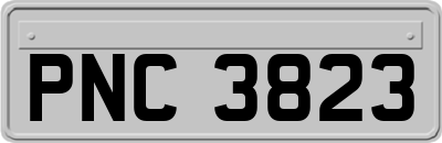 PNC3823