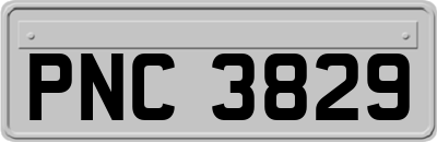 PNC3829