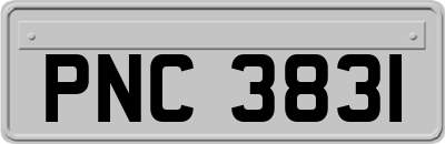 PNC3831