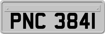 PNC3841