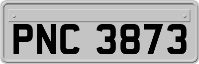 PNC3873