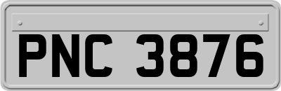 PNC3876