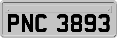 PNC3893