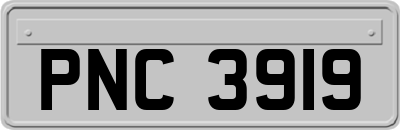 PNC3919