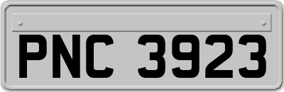 PNC3923