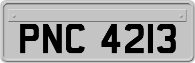 PNC4213