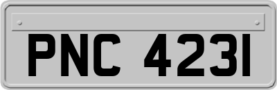PNC4231