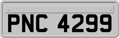 PNC4299