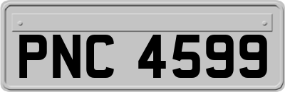 PNC4599