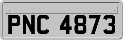 PNC4873