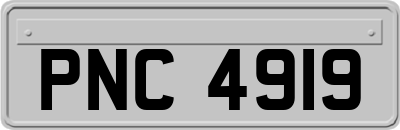 PNC4919